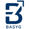 BASYG Consulting